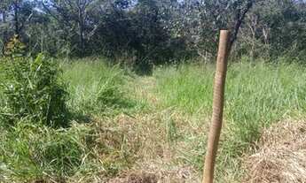 Imagem 7: Chacara a 40 km de goiania entre Teresópolis e Nerópolis 1000 metros com energia