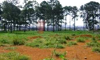 Imagem 2: Lotes em Santa Isabel com preço imperdivel!