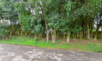 Imagem 6: Lote/Terreno para venda tem 4430 metros quadrados em Augusta - Curitiba - PR