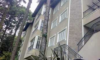 Imagem: GRAMADO - Padrão - Planalto