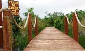 Imagem 5: São 8 lotes escriturados, bairro Palmeiras, com entrada de R$ 40 mil e R$ 10 mil mensais