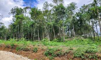 Imagem 6: Chacara belas Áreas Roseira Colombo/ Campina Grande do Sul