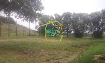 Imagem 5: Vendo terreno 12.000m2 plano no curado