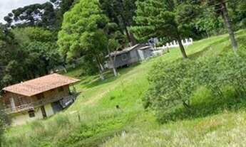 Imagem 3: Vende-se Chácara com venda por R$800.000