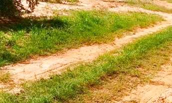 Imagem 2: Chácara 30.000 metros José Bonifácio