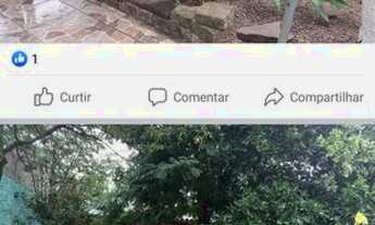 Imagem 5: Alugo ou vendo essa casa