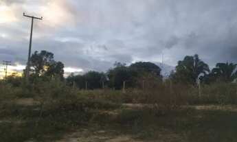 Imagem 3: Terreno com 20 tarefas de área à venda depois do Lameiro na Cidade do Crato