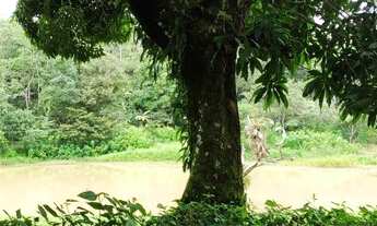 Imagem 3: Sítio 12 dormitórios à venda Zona Rural Guaramiranga/CE