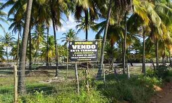 Imagem 3: TERRENO PÉ NA AREIA - FRENTE MAR