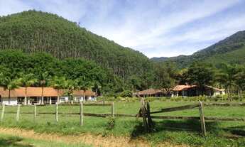 Imagem 4: Fazenda à venda com 80 alqueires, Tremembé São Paulo excelente oportunidade