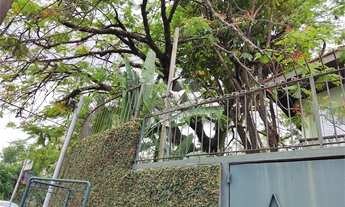 Imagem 5: Casa para venda tem 456 metros quadrados com 4 quartos em Butantã - São Paulo - SP