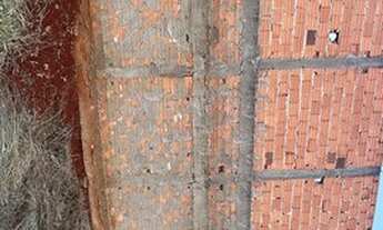 Imagem: Terreno Barra Forest