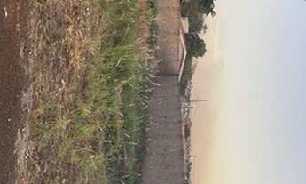 Imagem 5: Terreno Barra Forest