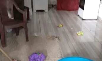 Imagem 3: Vendo casa ou parte do terreno no Icuí