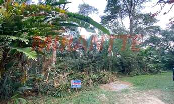 Imagem 1: Excelente terreno na Serra da Cantareira, documentação em ordem e estuda proposta