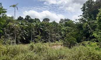 Imagem 3: Terreno com igarapé