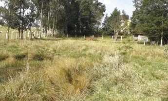 Imagem 4: Casa em Morro Grande