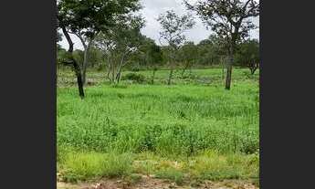 Imagem 2: VENDO FAZENDA 116 ALQUEIRES
