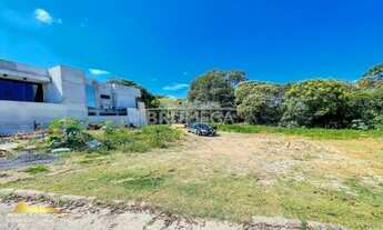 Imagem 2: Brusque - Terreno Padrão - Primeiro de Maio