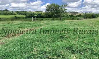 Imagem 8: Fazenda em Itapetininga, rica em água (Nogueira Imóveis Rurais