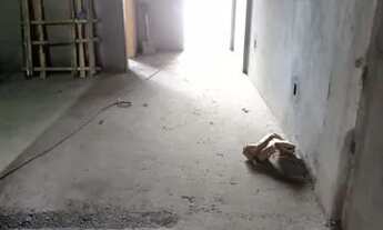 Imagem 6: CASAS EM CONSTRUÇÃO Á VENDA NA AVENIDA PRINCIPAL DO PLANO DE VIDA COM 3 QUARTOS POR 175 MI