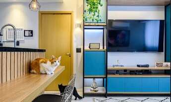 Imagem 2: Liv 703 Apartamento com 1 dormitório