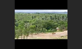 Imagem 5: VENDO FAZENDA 116 ALQUEIRES