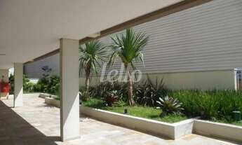 Imagem 2: São Paulo - Apartamento Padrão - Belém