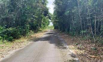 Imagem: Terreno na Pista Br 174 km 9,5