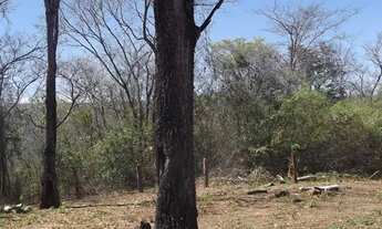 Imagem 5: Chácaras de 2.500m², com água de poço artesiano e energia elétrica, em São José da Serra