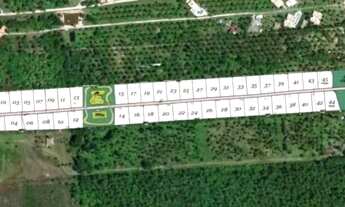 Imagem 5: Lote 1.000m2 -Cond. Dolce Vita Praia, Morro de São Paulo! OPORTUNIDADE!