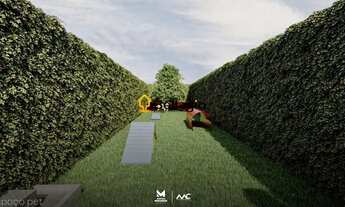 Imagem 3: Apartamento 2 dormitórios à venda Nossa Senhora das Dores Santa Maria/RS