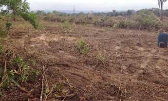 Imagem 3: Vendo fazenda em Araguaina-TO 80 alqueirões $45mil/alqueire