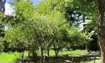 Imagem 6: Rua São Francisco, próximo da rua do campo