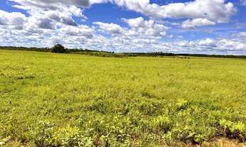 Imagem 4: Fazenda em Novo Acordo/Rio Sono