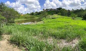 Imagem 7: Terreno para sítio/ chácara