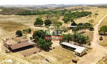 Imagem: Fazenda 169,42 Alqueires (820 Hectares)