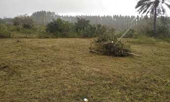 Imagem 4: Terreno 20x30 localizado na Capoeira Alagoinhas