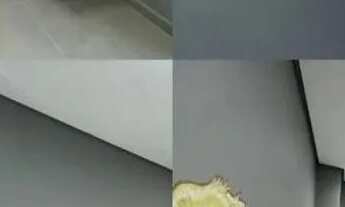 Imagem 5: Vendo apartamento novo em condomínio