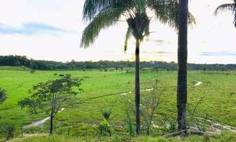Imagem 5: Vendo Fazenda a 500 metros de Alto Alegre