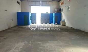 Imagem 2: Galpão para aluguel, GOIÁS - ARAGUARI/MG