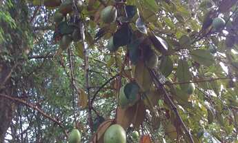 Imagem 7: Venda-se está propriedade de 45 Alqueires no Município de Rio Novo do Sul/