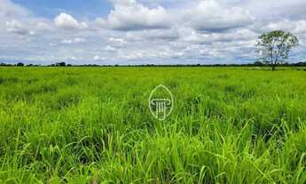 Imagem 4: Fazenda à venda, m² por R$ 92.000.000 - Zona Rural - Santo Antônio do Leverger/MT