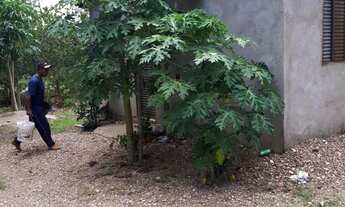 Imagem 3: Vede-se Sítio em Várzea Grande-MT