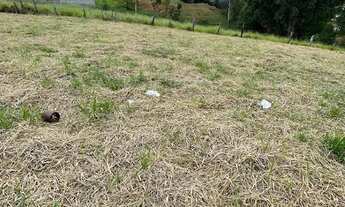 Imagem 2: Terreno de 900 metros em Joanópolis