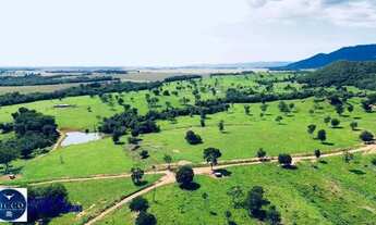 Imagem 3: Fazenda à Venda em Bom Jardim de Goiás 75 Alqueires