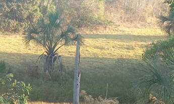 Imagem 3: Vende uma chácara a 75 km de Goiânia com 2 represa mais um rio no fundo