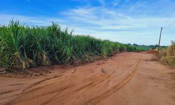 Imagem 4: 51alqueires arrendamento 80 ton/alq , frente Washington Luís ( Catanduva