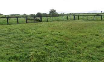 Imagem 5: Fazenda em Gurupi Tocantis