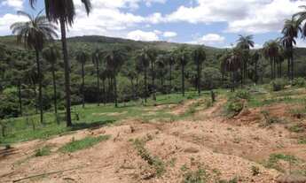 Imagem 4: Lindo terreno rural de 41 hectares na MG-10, Serra do Cipó (Temos varias opções)